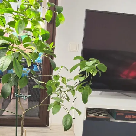 Littlebig Apartmán Bukurešť