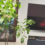 Littlebig Apartamento Bucareste