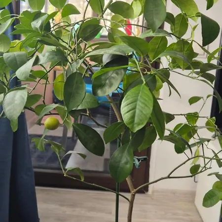 Appartement Littlebig *