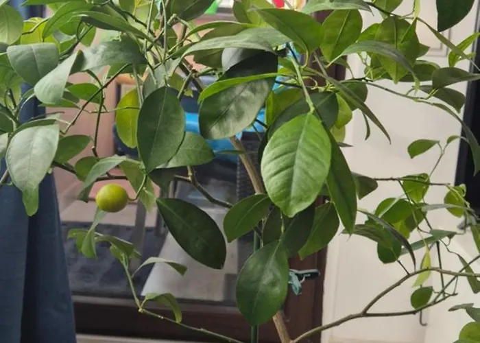 Appartement Littlebig *